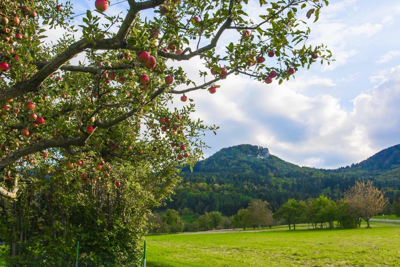 Ferienwohnung Zur alten Scheune Balingen Exterior foto